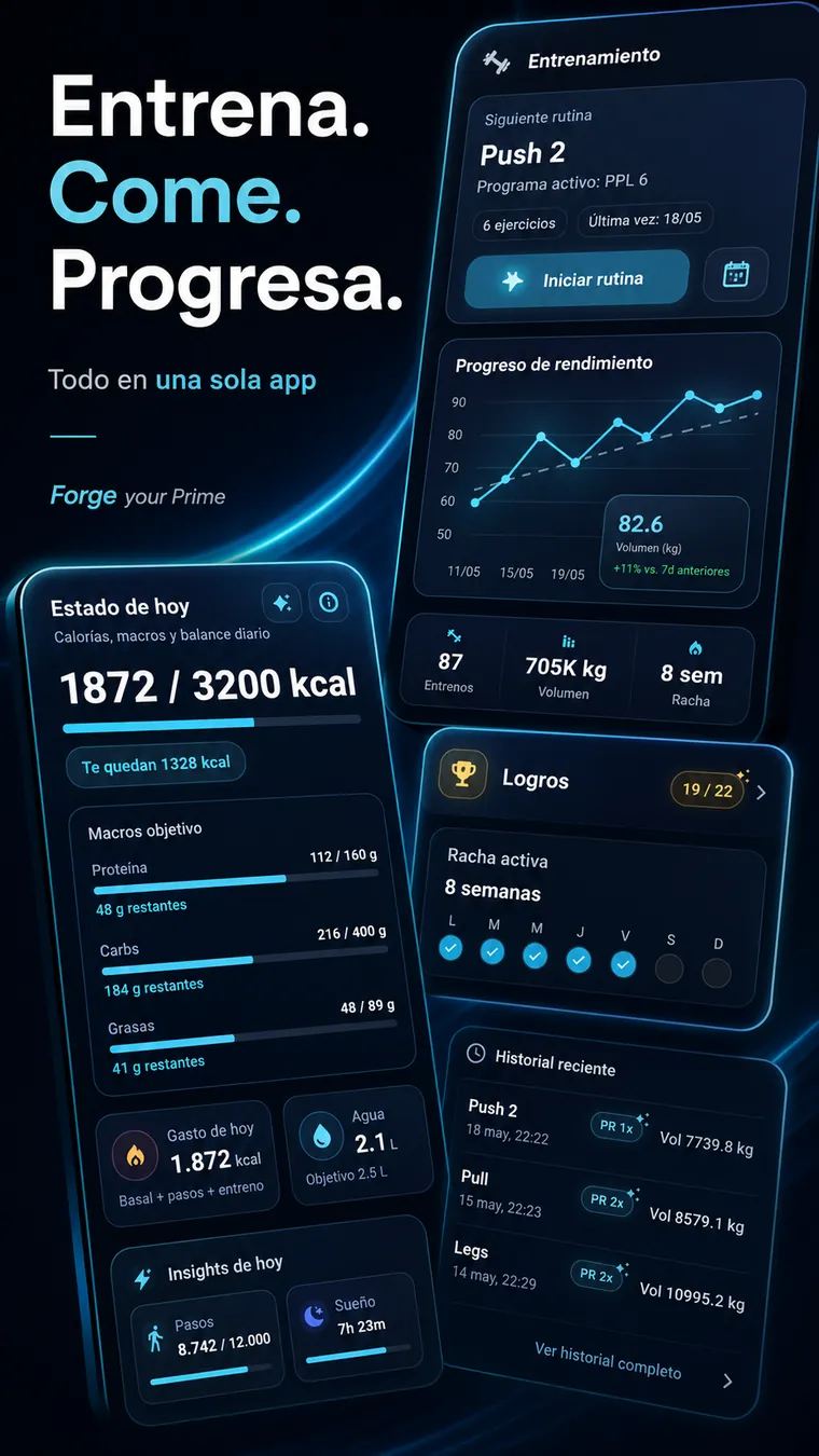 Panel diario de Forge